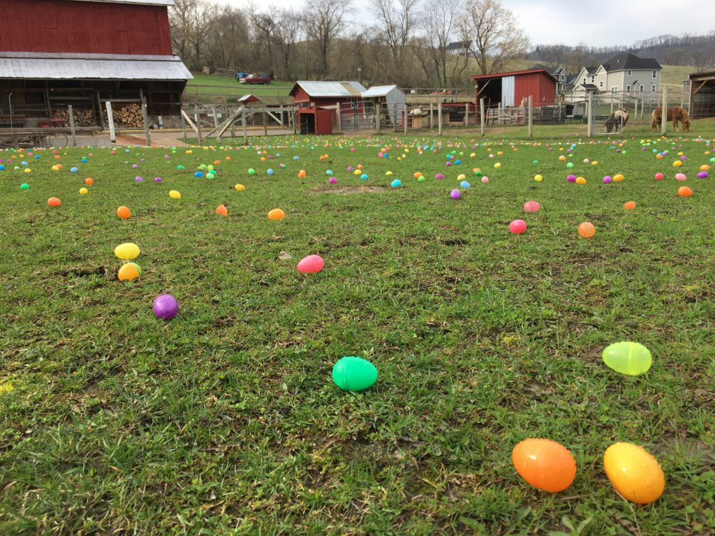 Easter Egg Hunt - Clearwater Farm