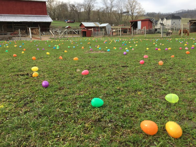 Easter Egg Hunt Clearwater Farm